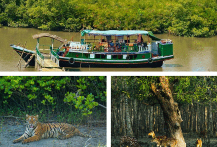 sundarban tour package