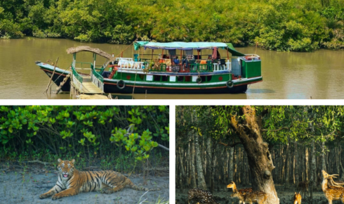sundarban tour package